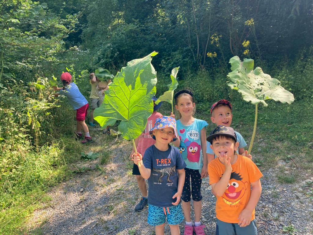 Waldsonnenschirme Kinder mit großen Blättern